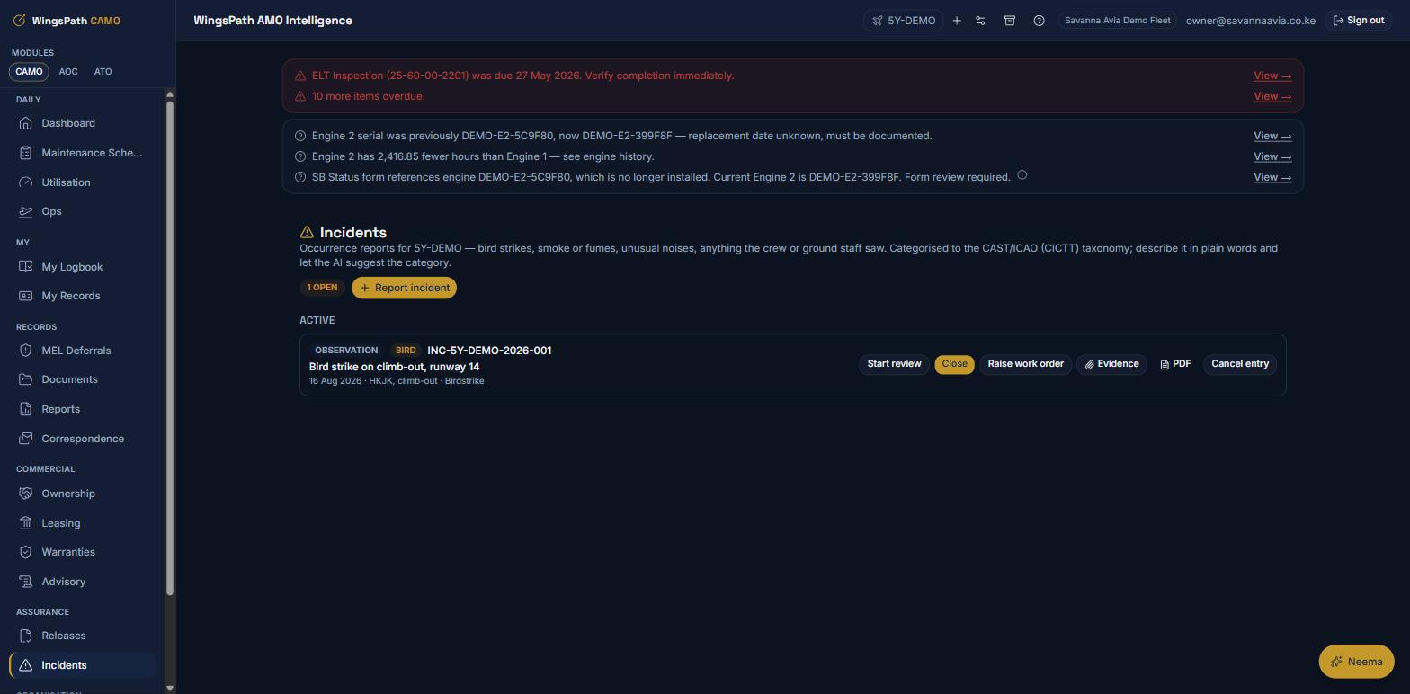 A bird-strike incident report showing the AI-suggested CICTT category and severity